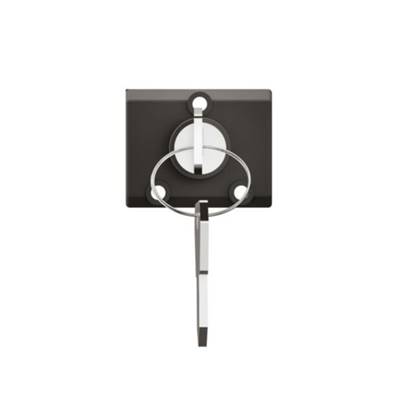 LEGRAND Interrupteur à Clé Céliane pour BAES - CM0073