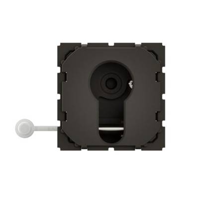 LEGRAND Interrupteur à Clé 2 Positions Céliane 10A 230V - CM0071